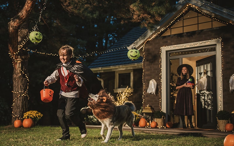 Reduce, Reuse, Re-invent: Creative Ways to Recycle Your Halloween Costumes