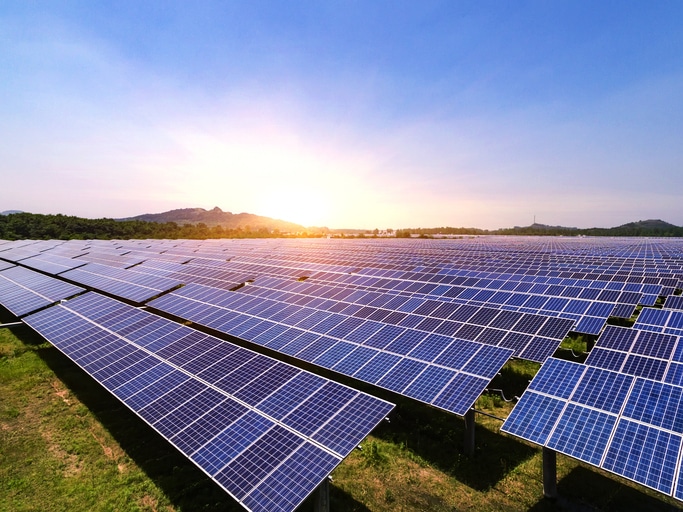 solar panels in field