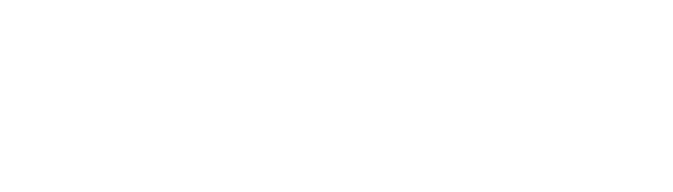 Dash Solutions Logo